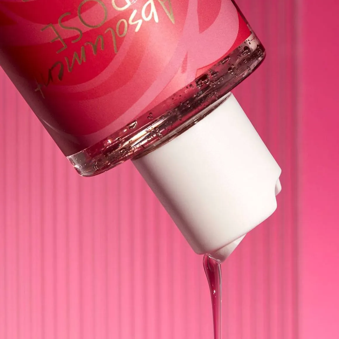 Absolument Rose