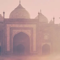 Bombay Chic
