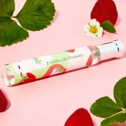 Feuille De Fraisier
