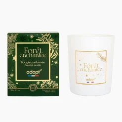 Foret Enchantee
