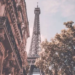 Paris Reverie