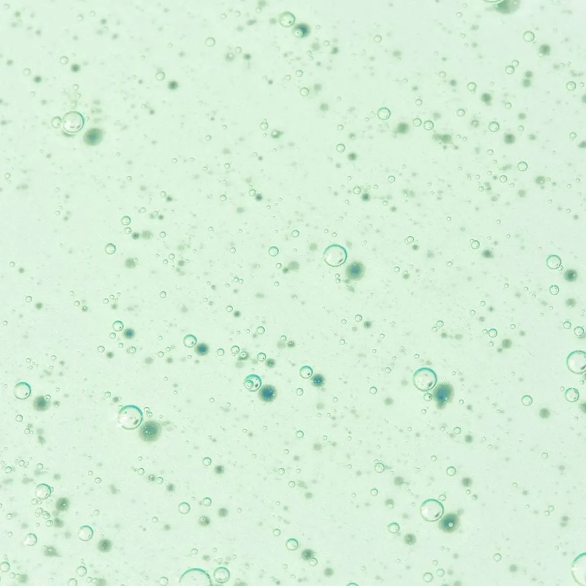 Verveine Fizz