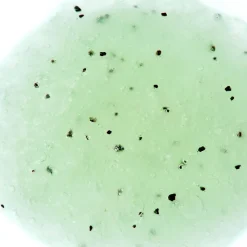 Verveine Fizz